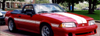 1987-93 SAAC Mustang Dual Lemans Stripes - Hatchback - Raised Spoiler